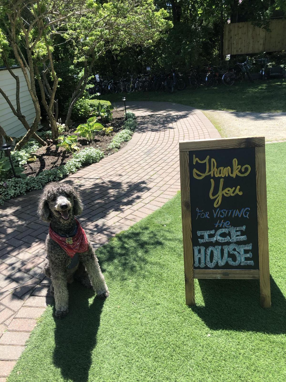 Ice House BBQ restaurant view 1