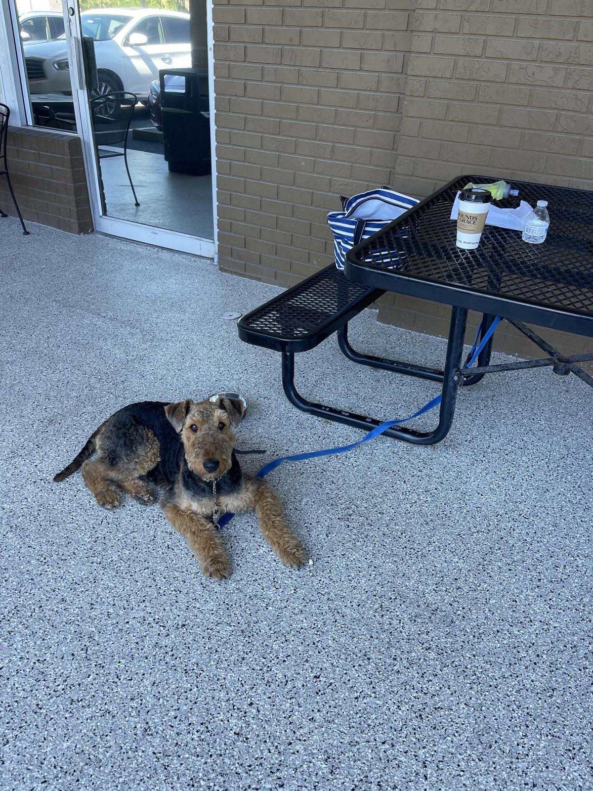 Cinotti's Bakery restaurant view 1