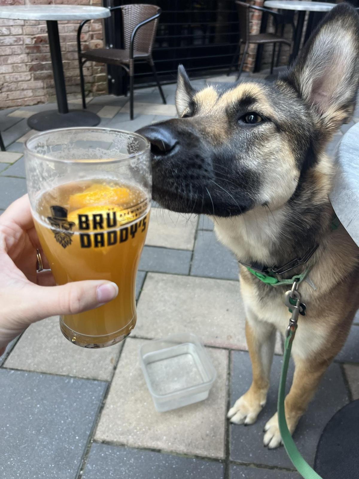 Brü Daddy's Brewing Company restaurant view 1