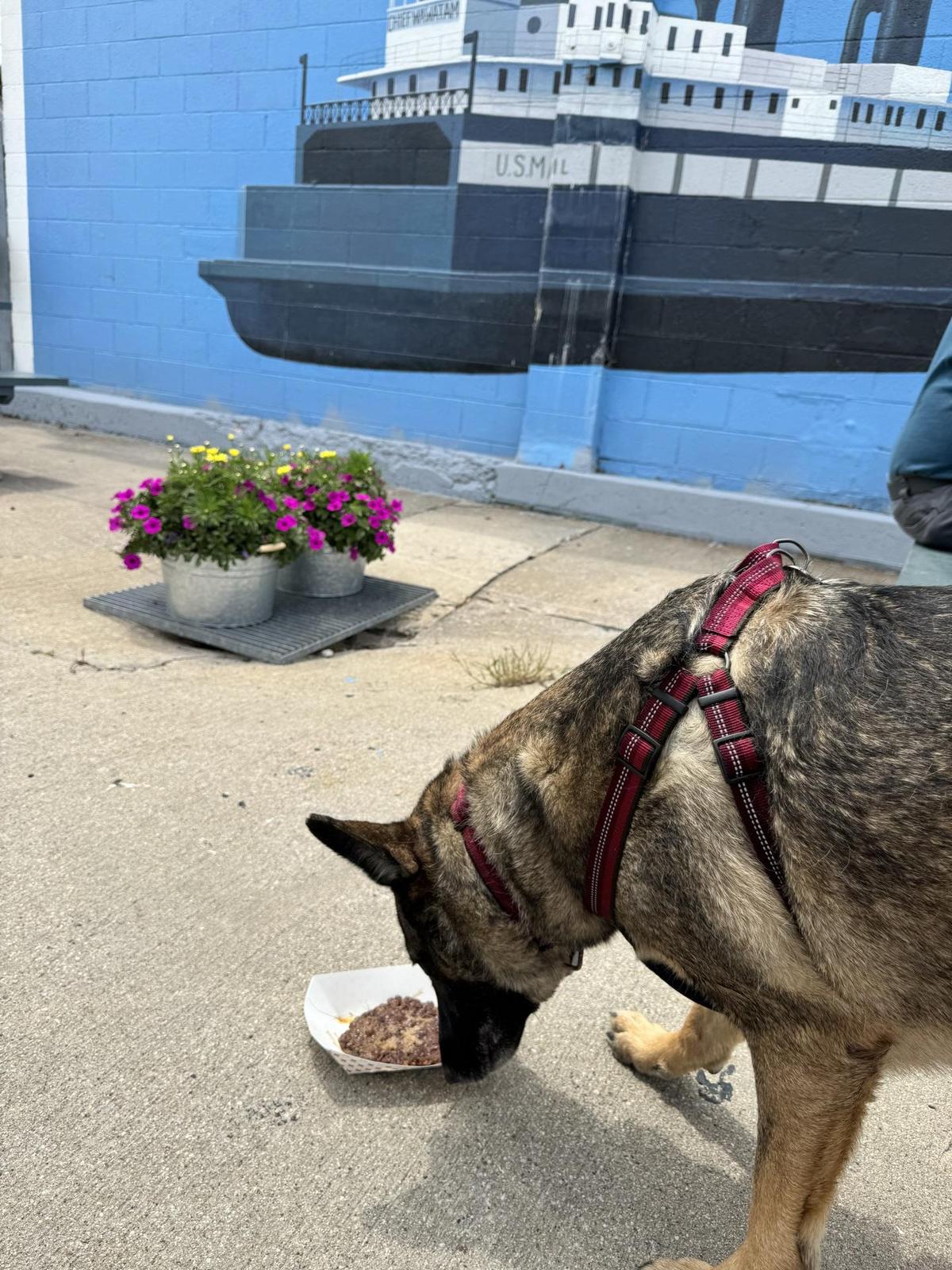 Gateway City Garage restaurant view 1