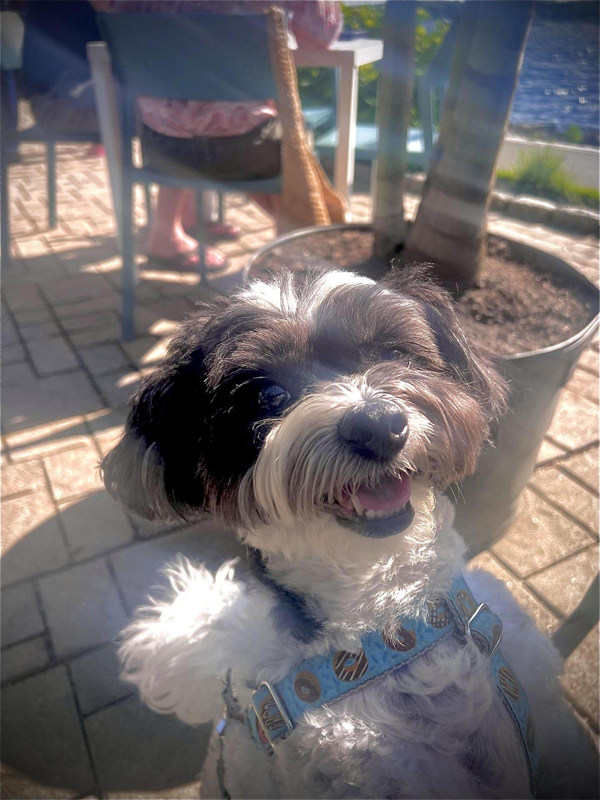 The Beach House restaurant view 1