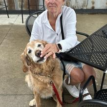 Industry Brewing restaurant view 2