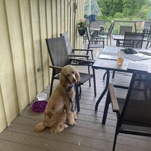 The Asylum restaurant view 1