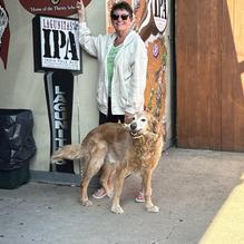 Carey's Bar restaurant view 1