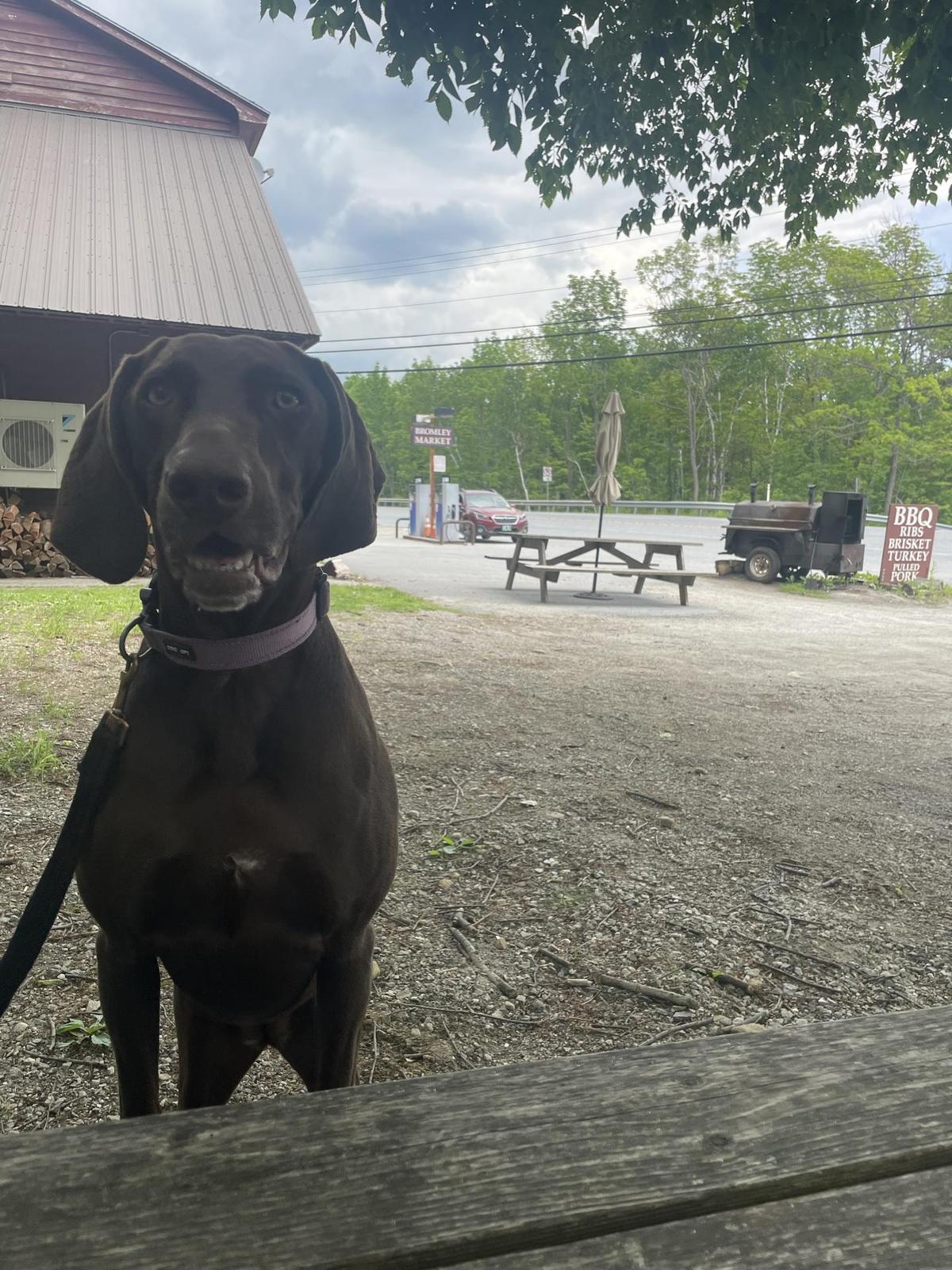 Bromley Market restaurant view 1