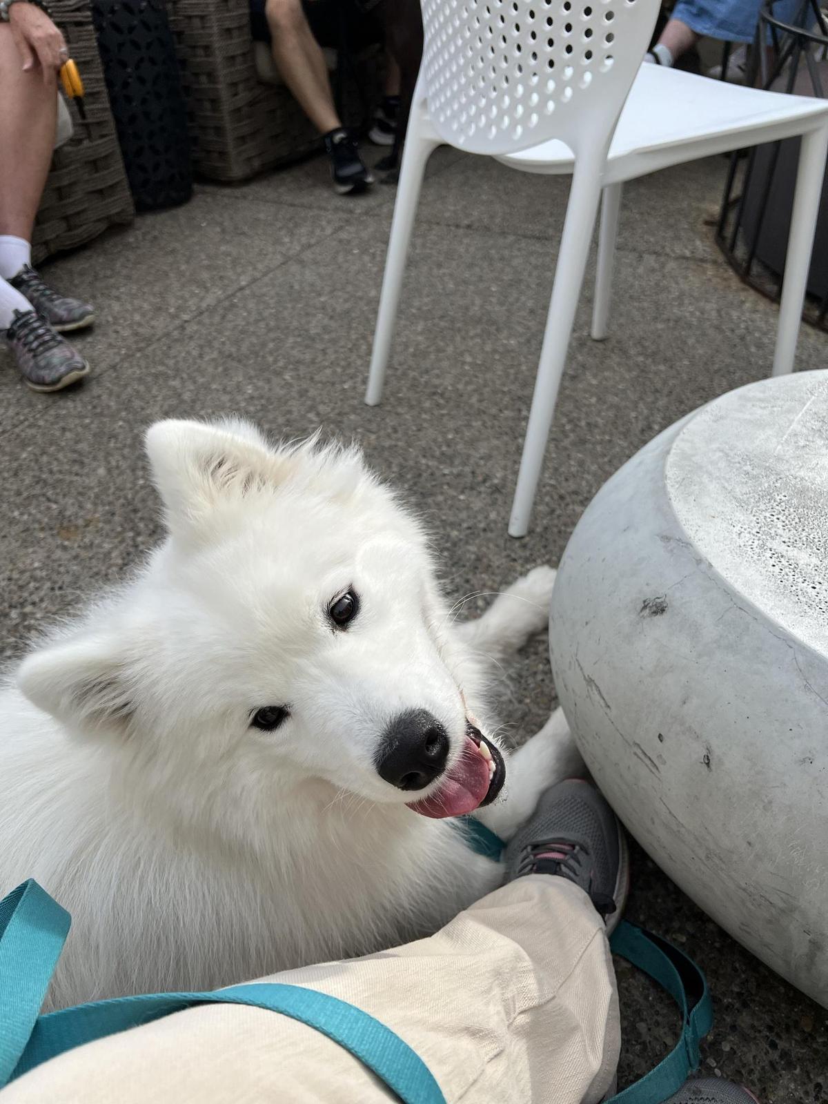 Honcho restaurant view 1