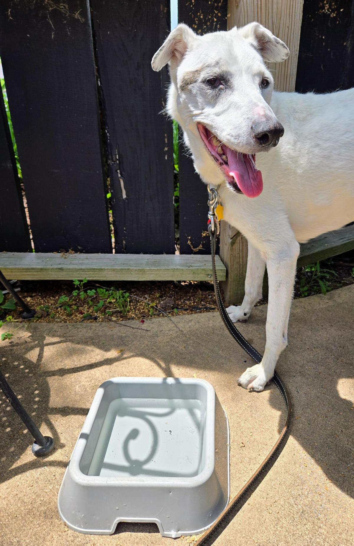 Payne's restaurant view 2