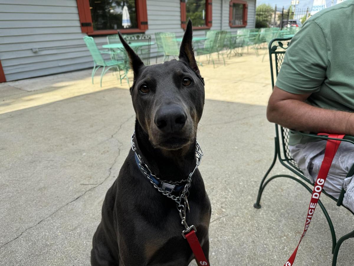 Rod's Pizza Cellar restaurant view 1