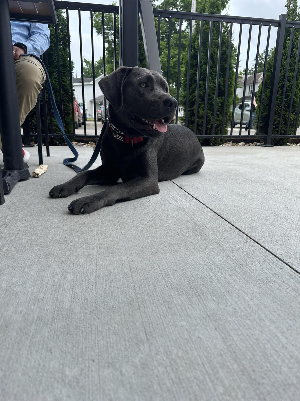 58 West restaurant view 1