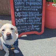 Waterfront Warehouse restaurant view 1