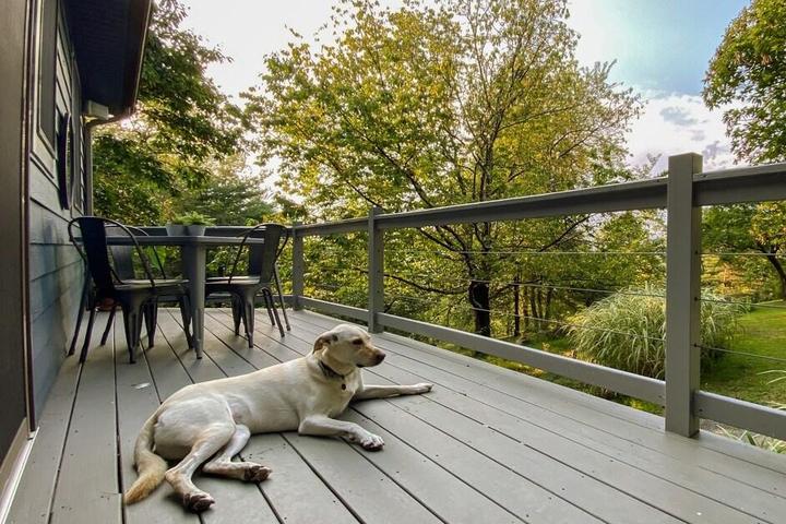 West Virginia's Best Dog-Friendly Airbnbs
