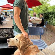 Big Grove Brewery & Taproom restaurant view 4