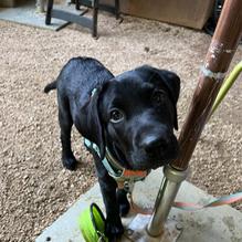 Press Cafe restaurant view 1