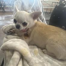 The Cabin Bar & Grill restaurant view 1