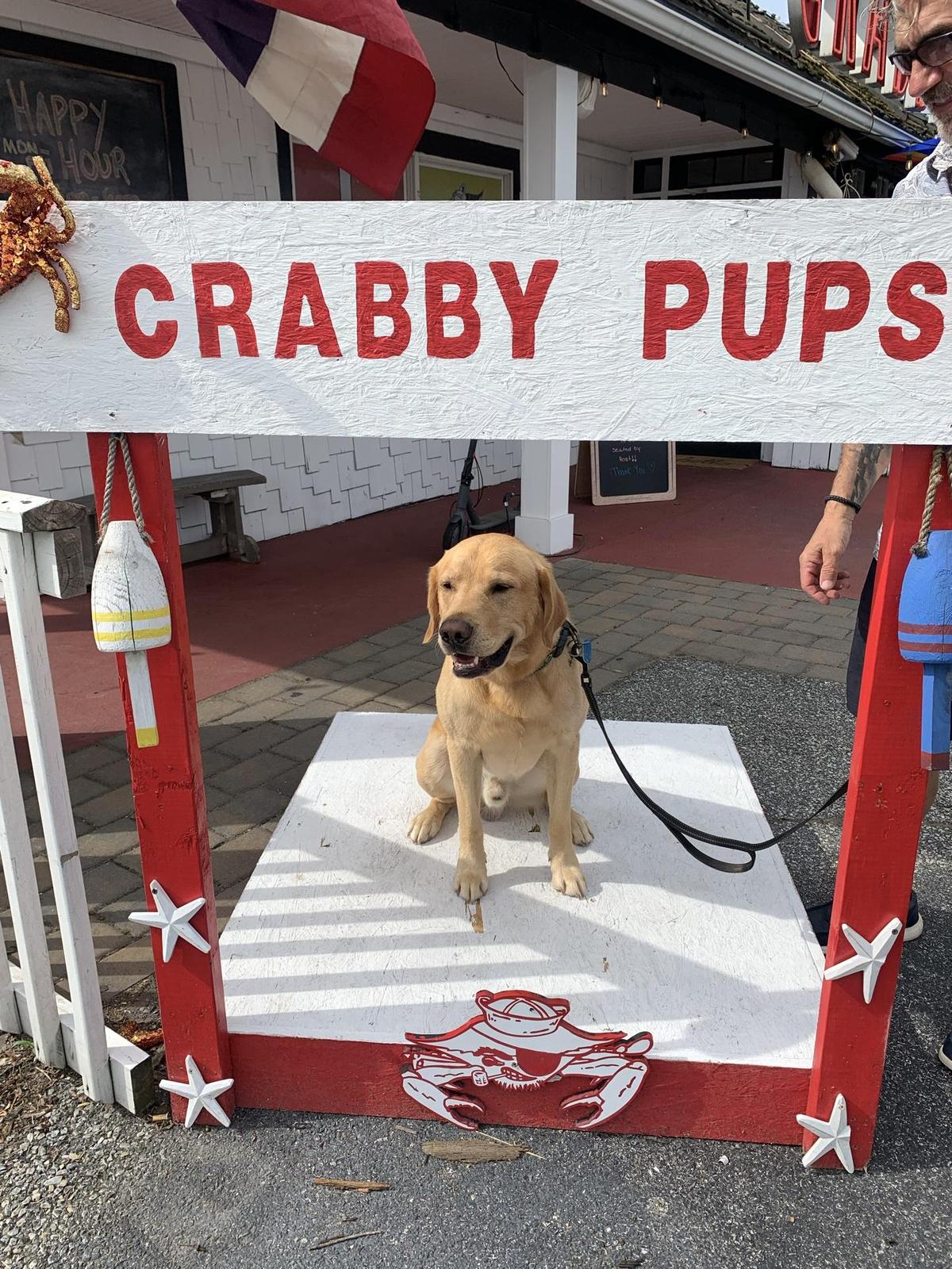 Crabby Dicks restaurant view 1