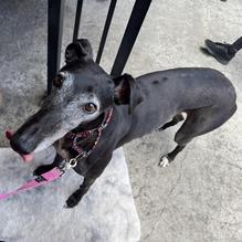 Nickel's Pit BBQ restaurant view 1