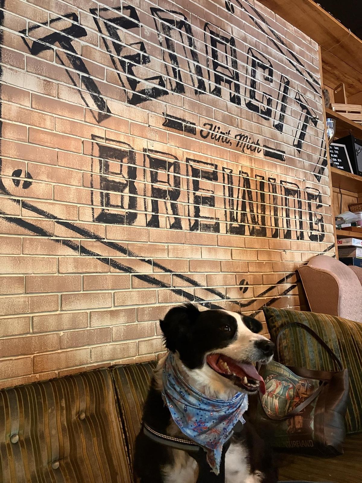 Tenacity Brewing & Vehicle City Taco restaurant view 1