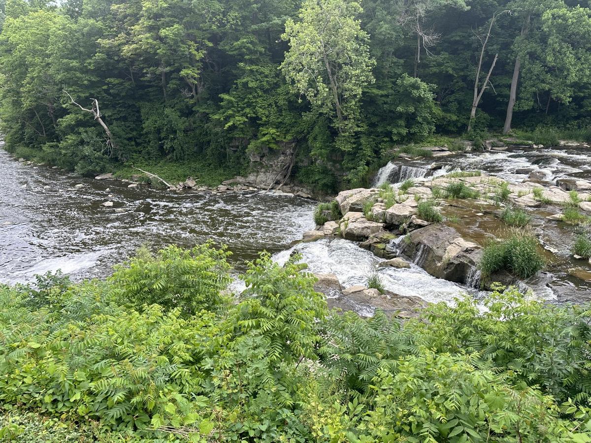 Indian Falls Log Cabin Restaurant restaurant view 1