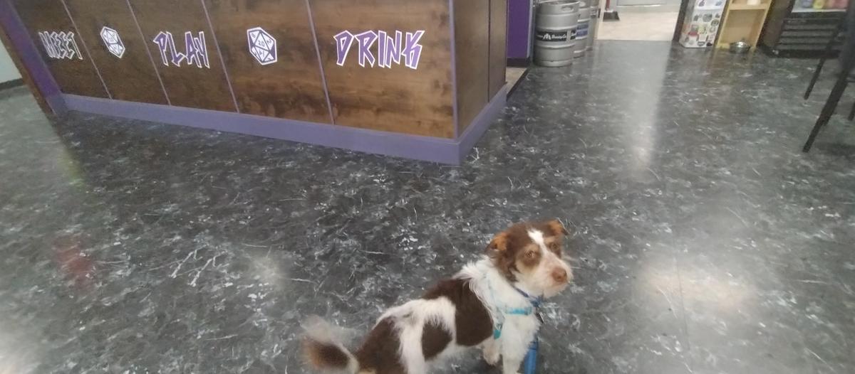 Ashley's Pub restaurant view 1