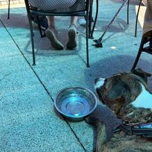 Obed & Isaac’s Microbrewery and Eatery restaurant view 1