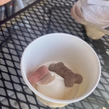 Julie Ann's Frozen Custard restaurant view 1