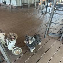 Boulevard Burgers restaurant view 1