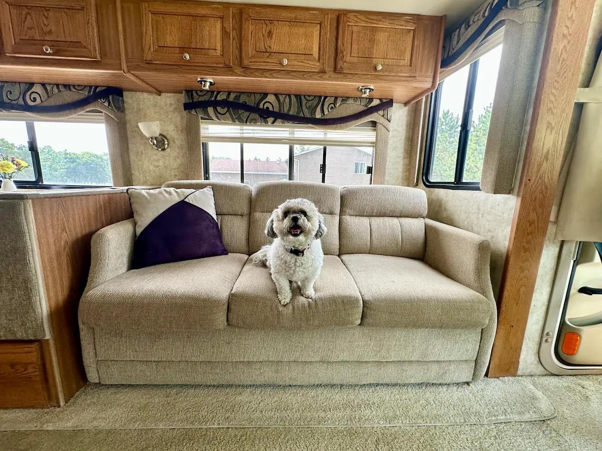Minnesota’s Best Dog-Friendly Airbnbs