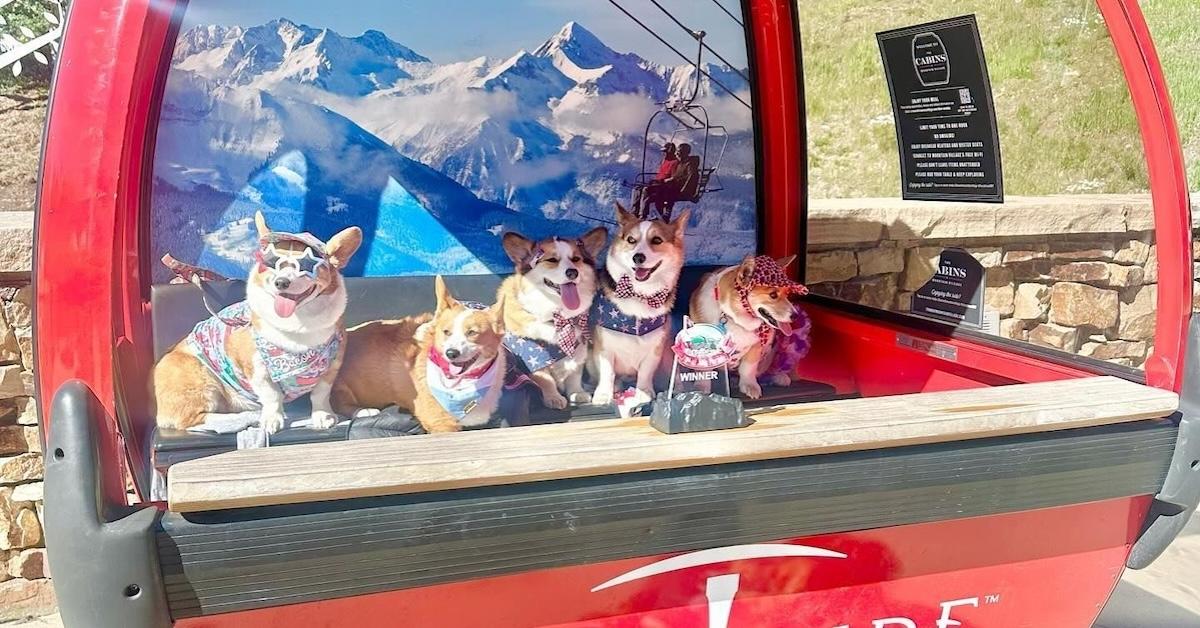 Trams and Gondolas That Welcome Furry Riders