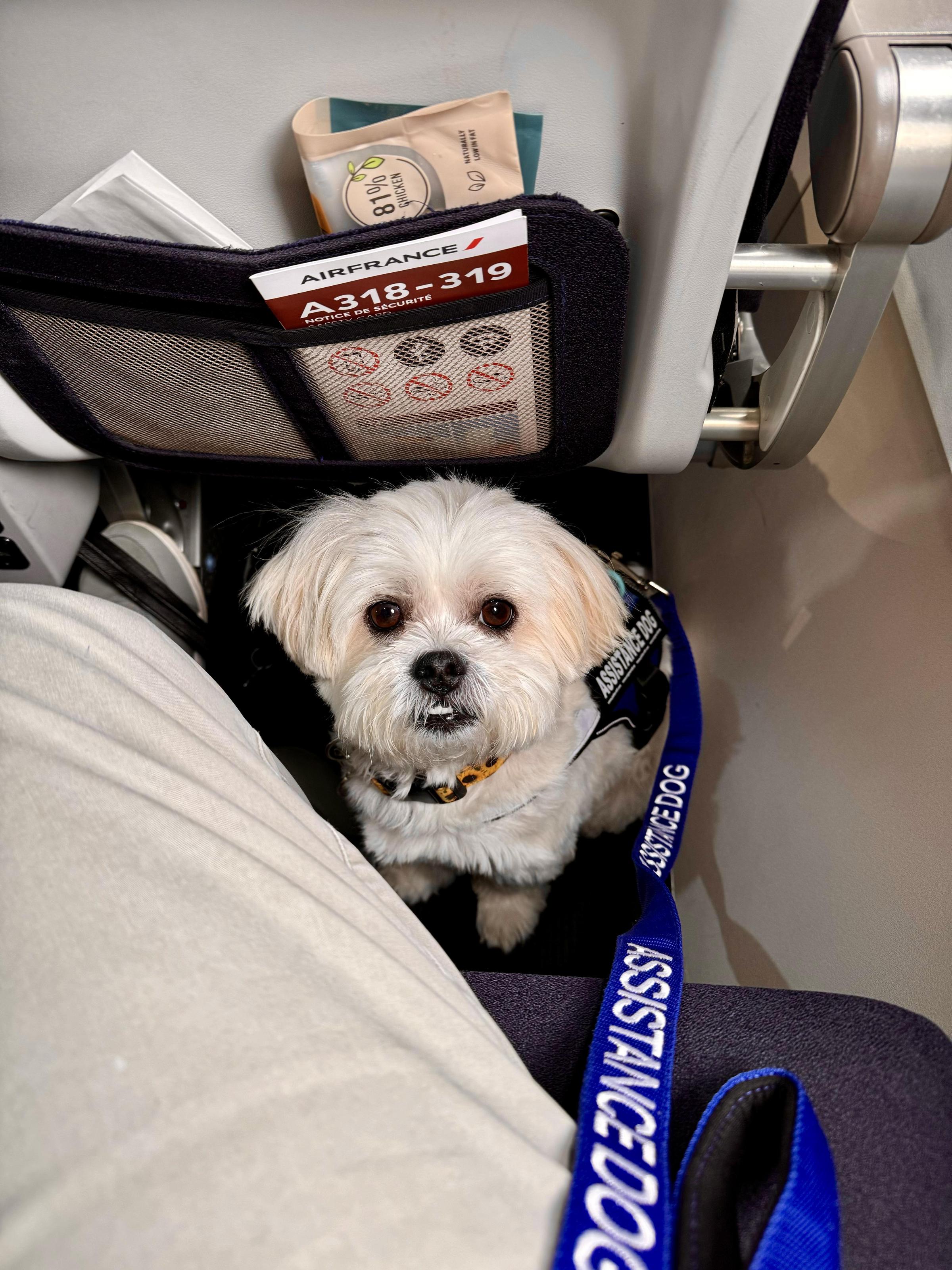 Air France Pet Travel Policy