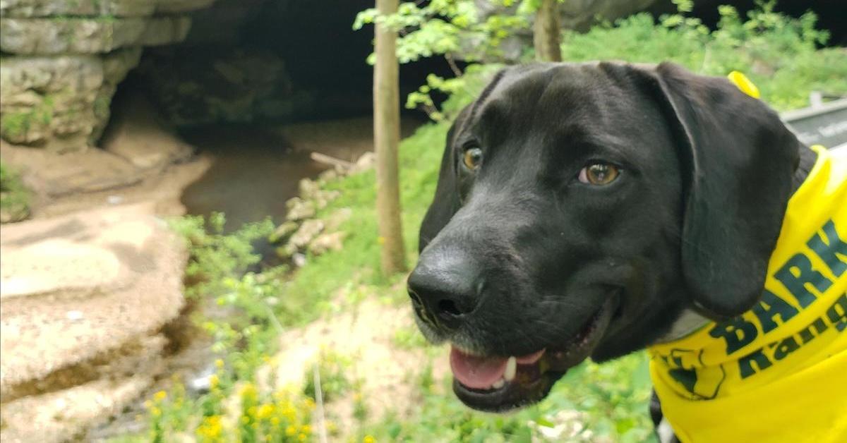 Caves and Caverns That Welcome Canines