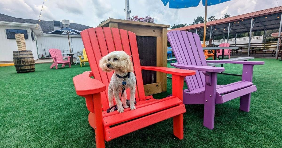 New Dog Parks and Pet-Friendly Attractions: September 2024