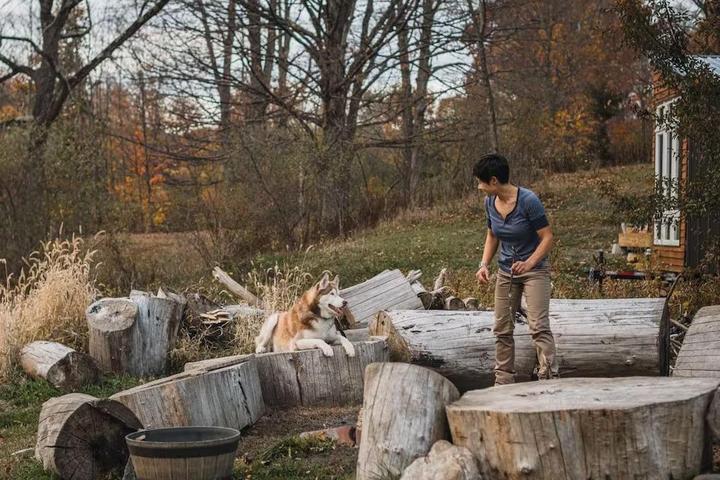 New York's Best Dog-Friendly Airbnbs