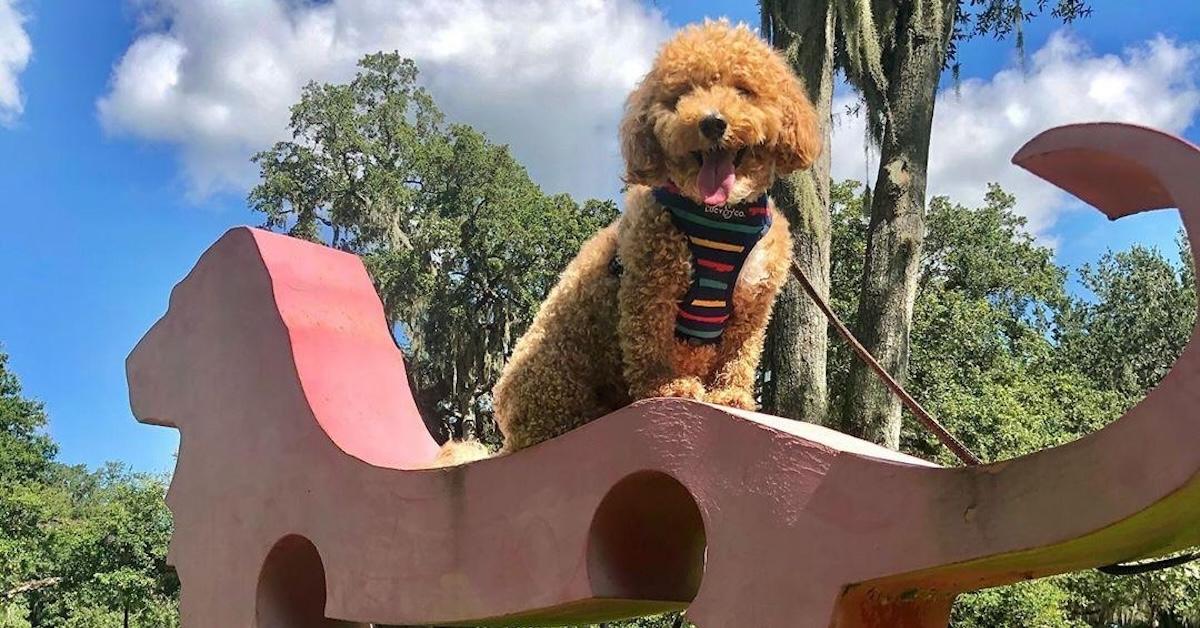 The Coolest Dog-Friendly Sculpture Parks