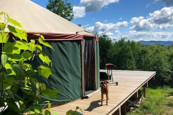 New Hampshire's Best Dog-Friendly Airbnbs