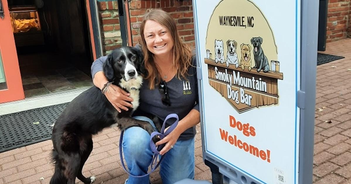 Dog-Themed Restaurants Where Fido Can Chow Down