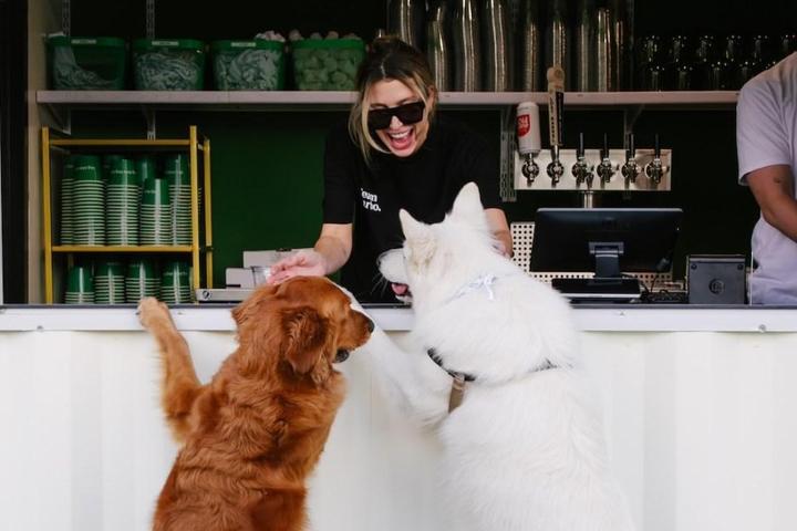 New Dog Parks and Pet-Friendly Attractions: November 2024