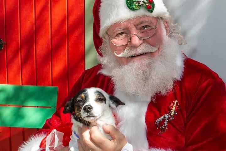 December’s Best Dog-Friendly Events