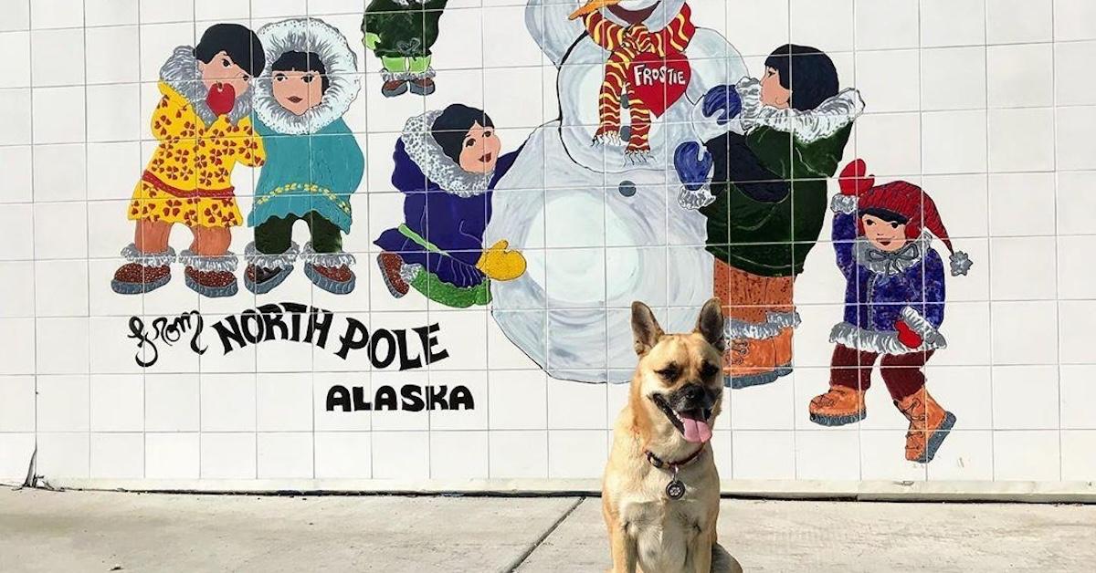 Holiday-Themed Towns to Visit With Fido