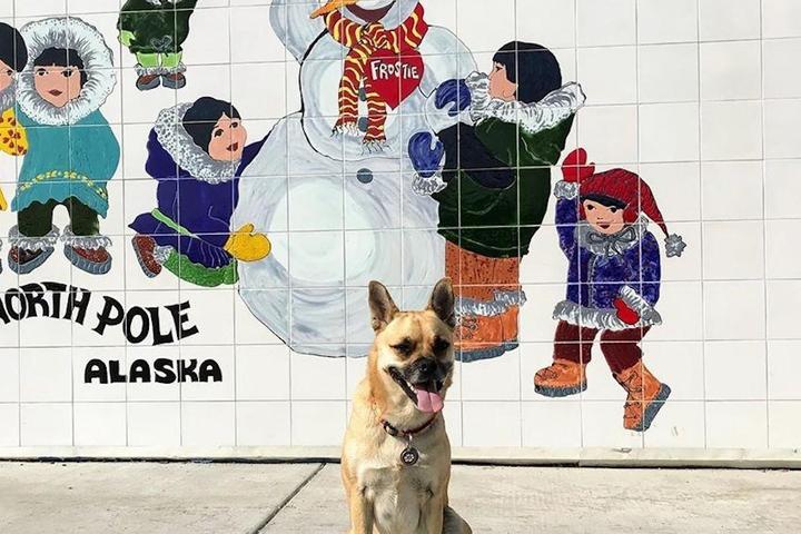 A Dog Stands in Front of a Snowman Mural in North Pole, AK.