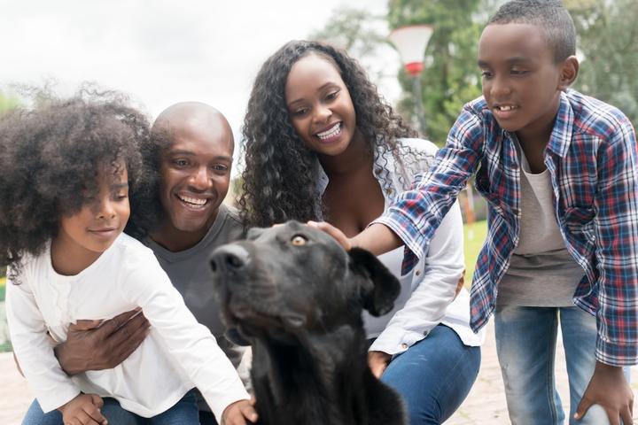 A family meets a new dog