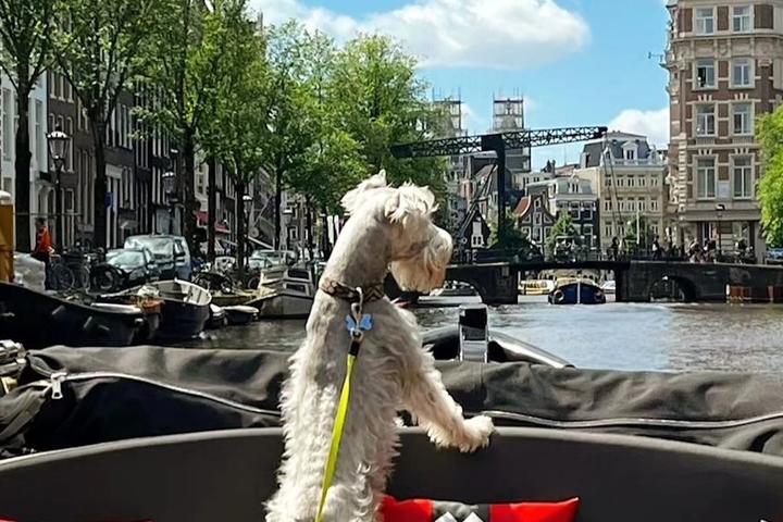 Amsterdam Boat Tours