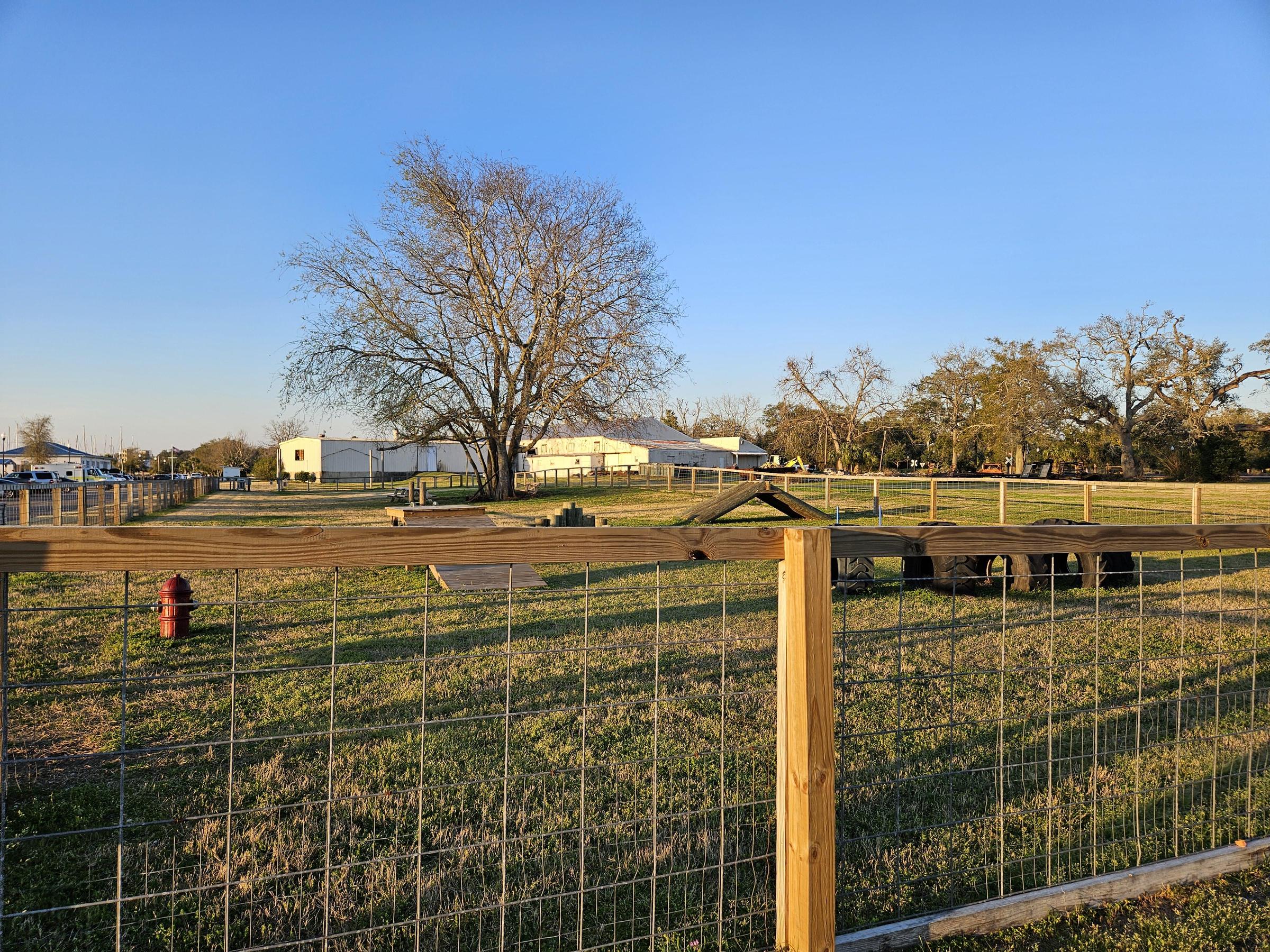 Pet Friendly Marina Dog Park