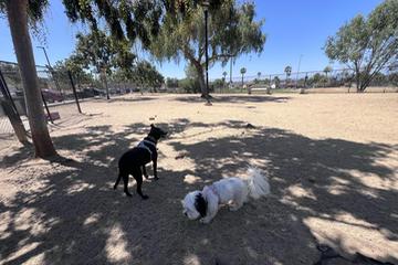 Where is the Nearest Dog Park: Find Fun Spots Fast Today!