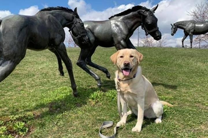 Horsin’ Around