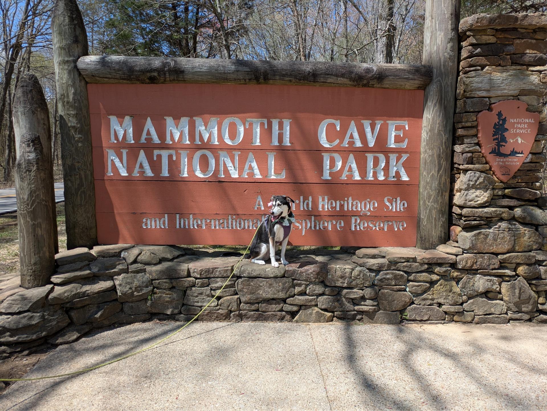 Pet Friendly Mammoth Cave National Park