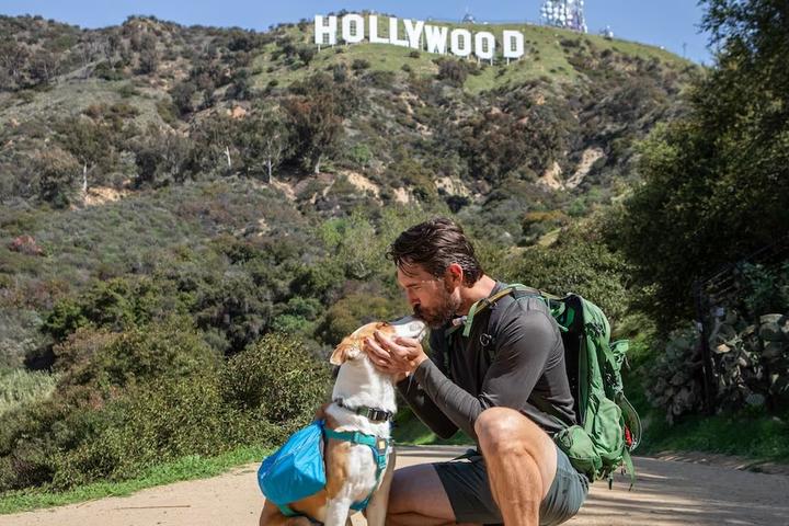 The Official Hollywood Sign Walking Tour With Comedy & Photos Airbnb Experience