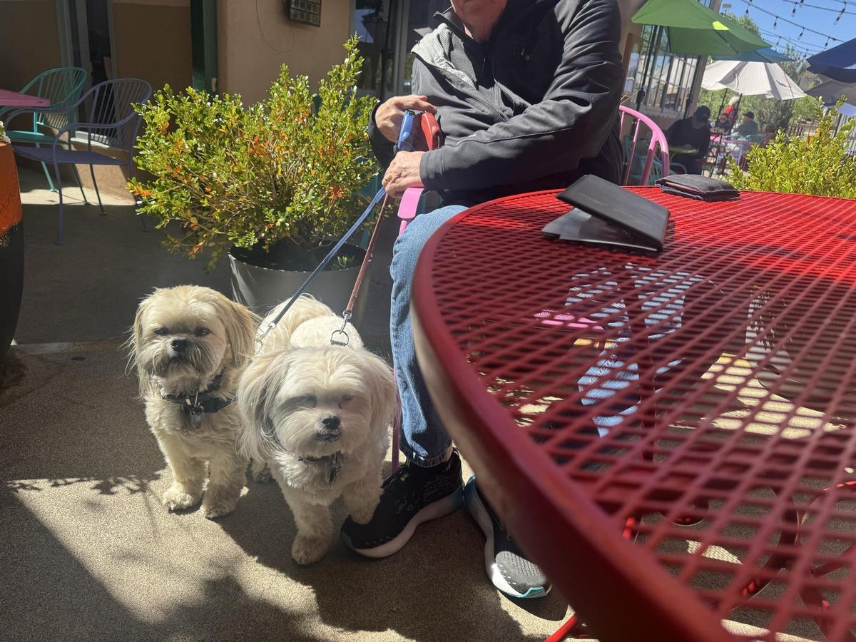 The Pantry Rio Pet Policy