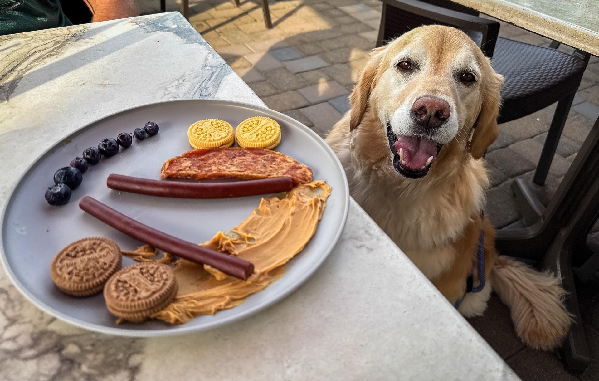 Pet Friendly Paragon Tap & Table