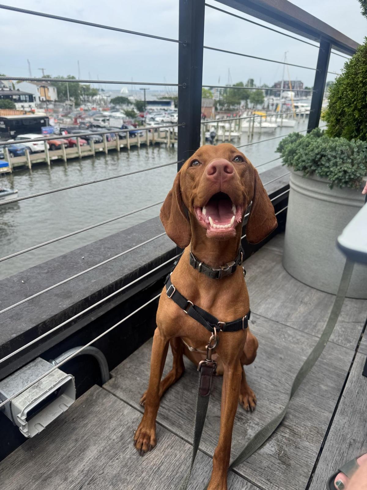 image_FwoOWWW.jpg?size=full&