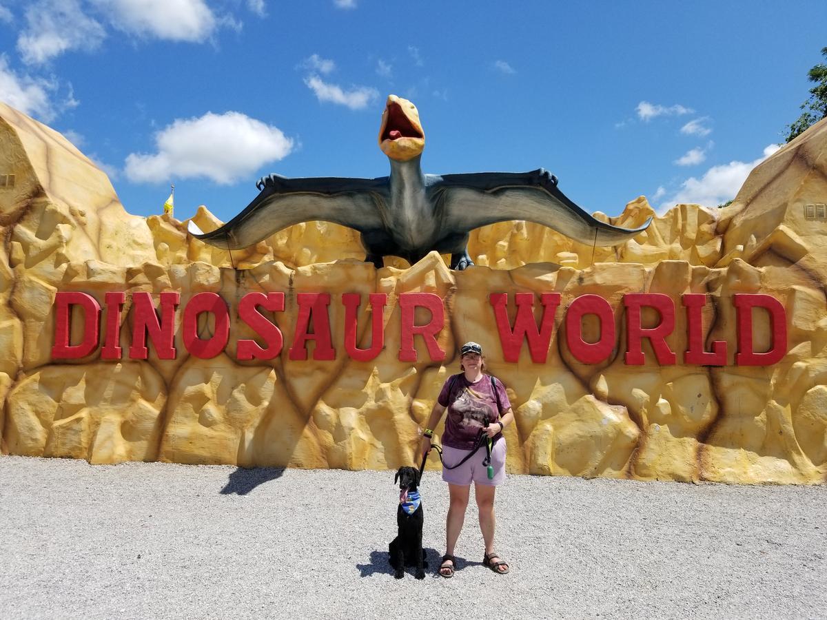 Dog-Friendly Amusement Parks